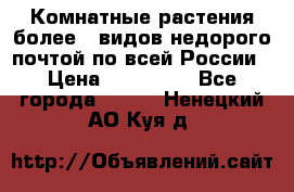 Комнатные растения более200видов недорого почтой по всей России › Цена ­ 100-500 - Все города  »    . Ненецкий АО,Куя д.